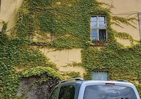 Peugeot Rifter PureTech 110 Active L1 Active