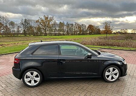 Audi A3 1.6 TDI 77kW Ambition Ambition