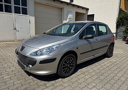 Peugeot 307 Grand Filou Cool