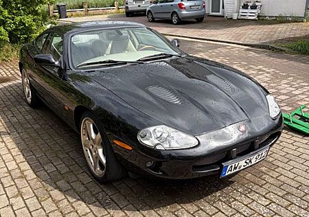 Jaguar XK