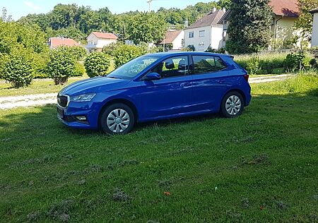 Skoda Fabia Selection
