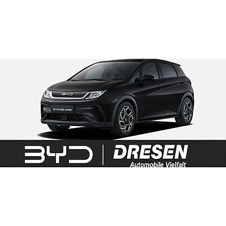 BYD Dolphin leasen