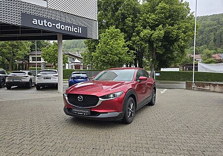 Mazda CX-30 Selection 360° Kamera Bose Automatik