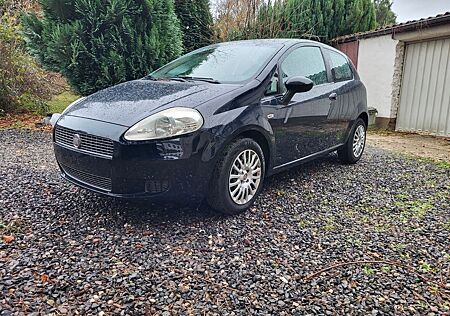 Fiat Punto 1.2 8V 1 Hand Top Fahrzeug TÜV-HU 2027