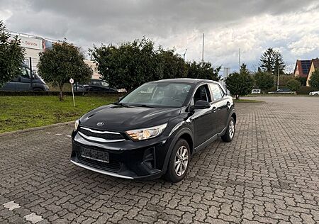 Kia Stonic Edition 7/Carplay/PDC h/SHZ+LHZ