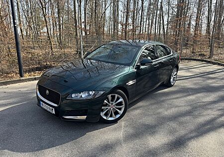 Jaguar XF British Racing Green | Leder hell |