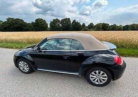 VW Beetle Volkswagen New