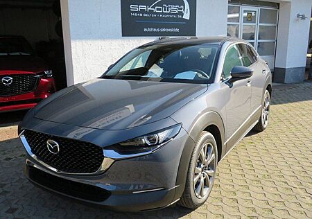 Mazda CX-30 AUT.X NAVI HEAD UP MATRIX LED BOSE 360° KA