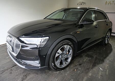 Audi e-tron gebraucht kaufen Audi e-tron 50 quattro advanced Pano/Leder (5)