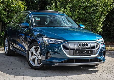 Audi e-tron 50 quattro/Leder/Panorama/ACC/18311netto