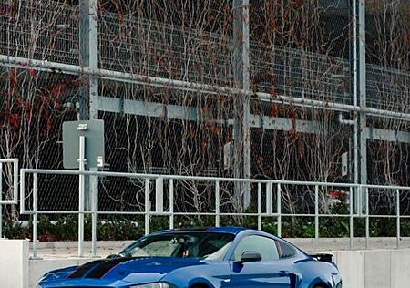 Ford Mustang GT-500Shellby paket 317psi