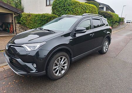 Toyota RAV 4 2,5-l-Hybrid Team Deutschland Auto 4x2...
