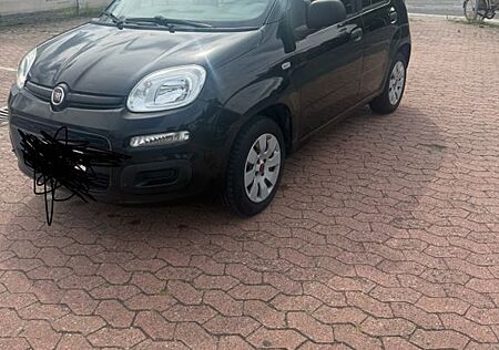 Fiat New Panda 1.2 8V LOUNGE LOUNGE