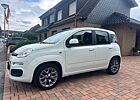 Fiat Panda 1.0 GSE Hybrid 1 Hand Scheckheft unfallfr