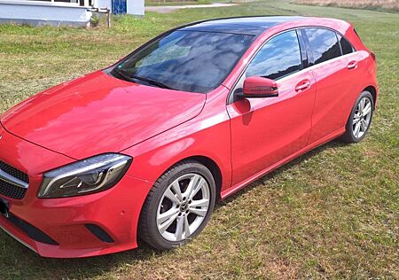 Mercedes-Benz A 220 Mercedes Benz 4MATIC Panorama LED