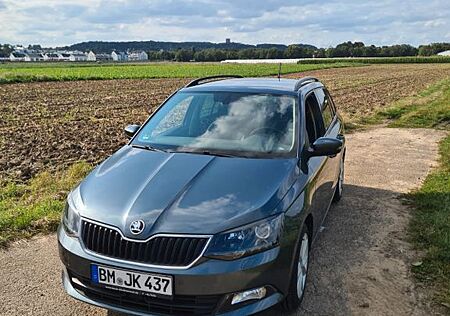 Skoda Fabia 1.2l TSI 81kW Combi Joy mit AHK