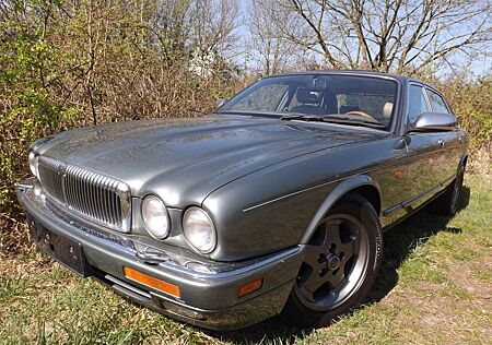 Jaguar Daimler Eight X300 perfekt, edel und schön!