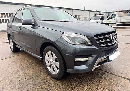 Mercedes-Benz ML 350 AMG,Panorama,Standheizung,VOLL