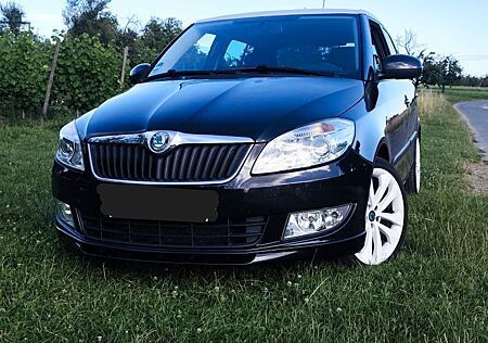 Skoda Fabia 1.2l TSI 63kW ( Race Paket )