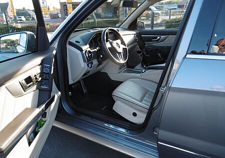 Mercedes-Benz GLK 250 BlueTec 4MATIC - AHK - AMG - lesen lohnt!
