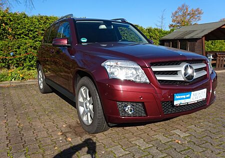 Mercedes-Benz GLK 220 GLK -Klasse BlueEfficiency 4Matic