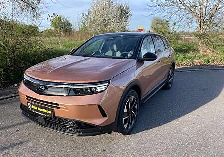 Opel Grandland X Grandland 1.2 Mild-Hybrid GS Navi Klima SHZ LHZ