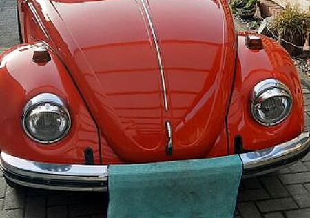 VW Käfer Volkswagen
