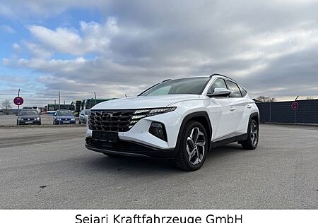 Hyundai Tucson 1.6 CRDI 4WD Sitzbelüftung Leder Grau