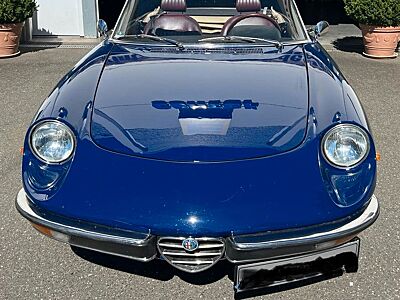 Alfa Romeo Spider