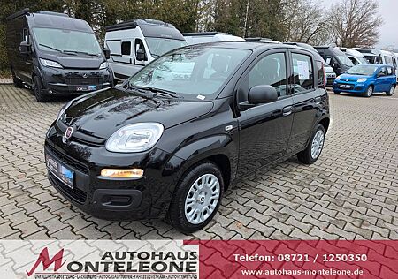 Fiat Panda MY25 Pandina ICON Hybrid | PDC | 5Sitze