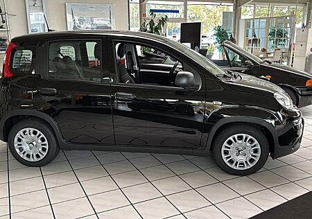 Fiat Panda Pandina