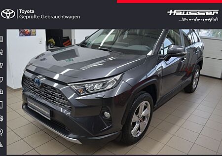 Toyota RAV 4 2.5 4x4 Hybrid Team D +TECHNIK-P.+APPLE-CA