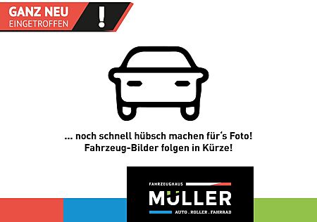 VW Passat Variant Volkswagen Business 2.0TDI*200Ps*RFK*Dach