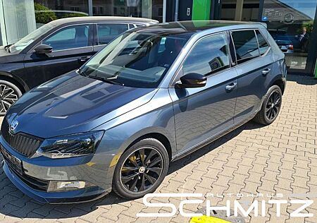Skoda Fabia " Monte CARLO" 1.0TSI PANO PDC SHZ [...]