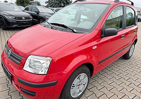 Fiat Panda 1.2 KAT 1.2 8V Dynamic