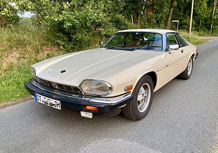 Jaguar XJS 5.3 V12 (1988), Exzellenter Zustand, 87 Tkm