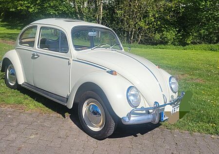 VW Käfer Volkswagen