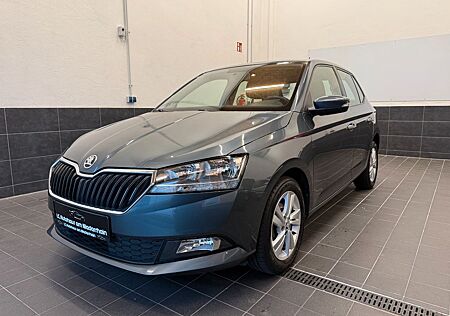 Skoda Fabia Ambition|KLIMA|KAMERA|HU NEU|SHZ|TSI|95PS|