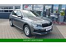 Skoda Kamiq TSI Selection *VirtCo*SmartLink*Kamera*AHK