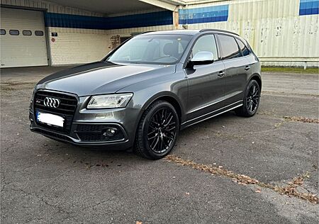 Audi SQ5 3.0 TDI competition quattro MATRIX STANDHEIZ