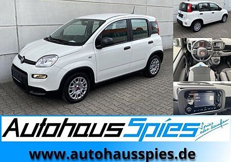 Fiat Panda 1.0 Mild Hybrid Base Klima DAB