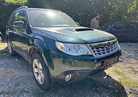 Subaru Forester Active 30 Jahre