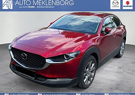 Mazda CX-30 2.0l 150 PS "Exclusive-Line" *DASO*DESI*Al