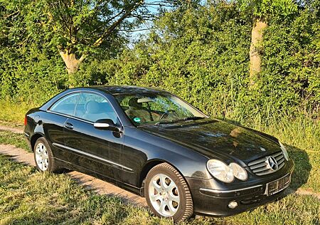 Mercedes-Benz CLK 270 CLK Coupe CDI