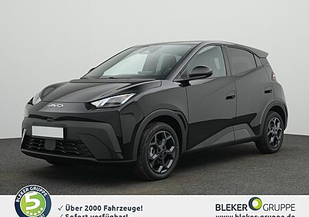 BYD DOLPHIN SURF Comfort