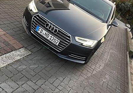 Audi A4 3.0 TDI S tronic Avant design TÜV Neu