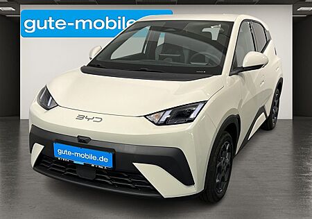 BYD DOLPHIN Surf Comfort SHZ | ACC | KAMERA | LEDER