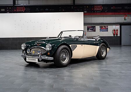 Austin Healey 3000 MK3 Stefan Sautter Umbau