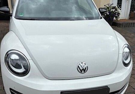 VW Beetle Volkswagen 1.4 TSI Sport Sport mit Garantie