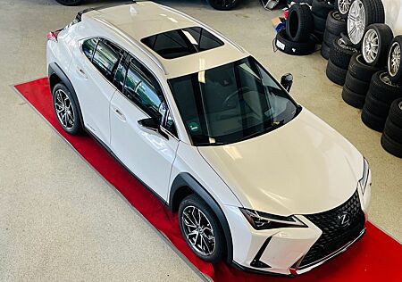 Lexus UX 250h -Luxury Edition -1. Hand -MwSt. ausweisb